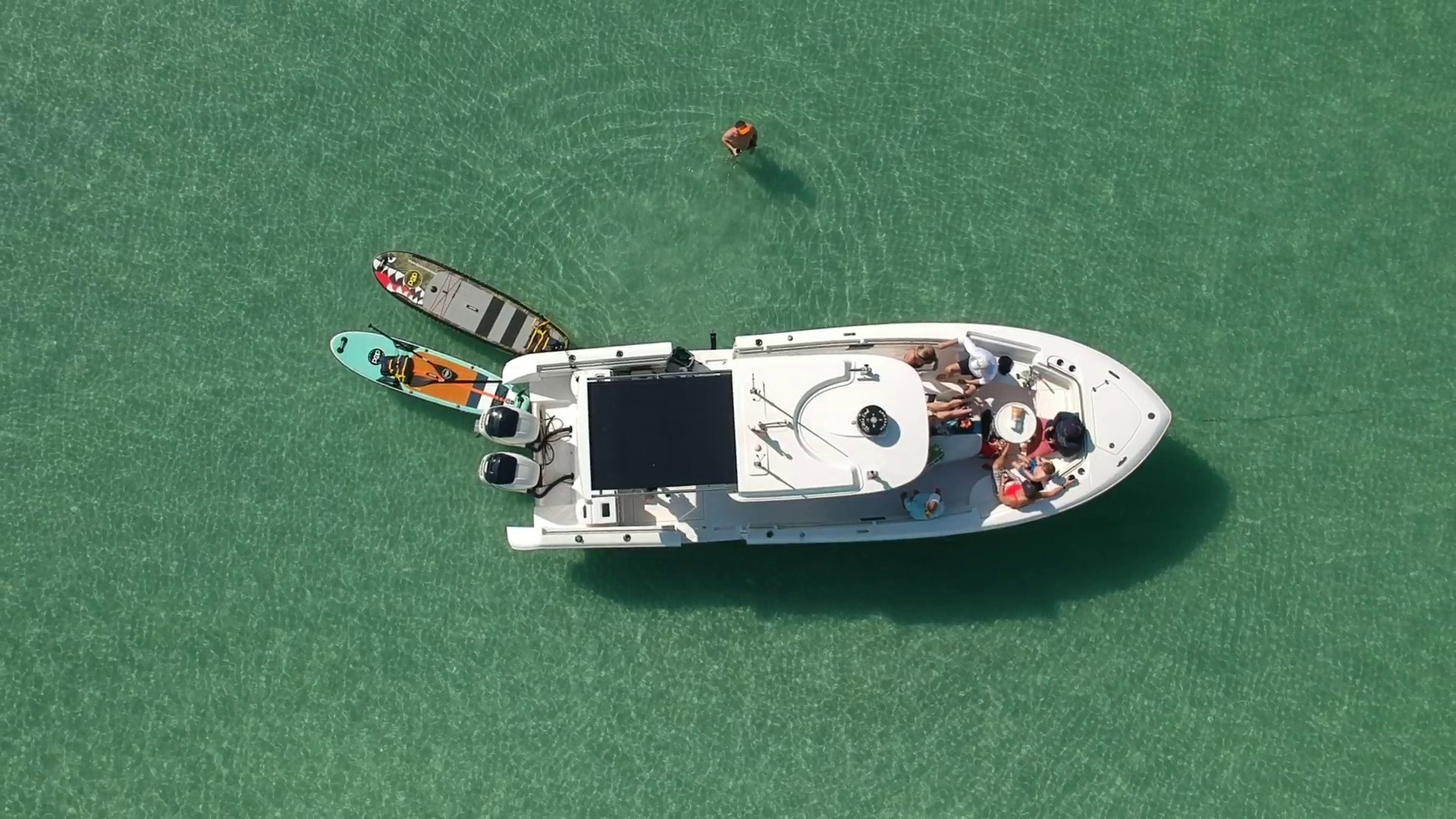 Half Day Sandbar Charter - Still Dreamin' — Key West