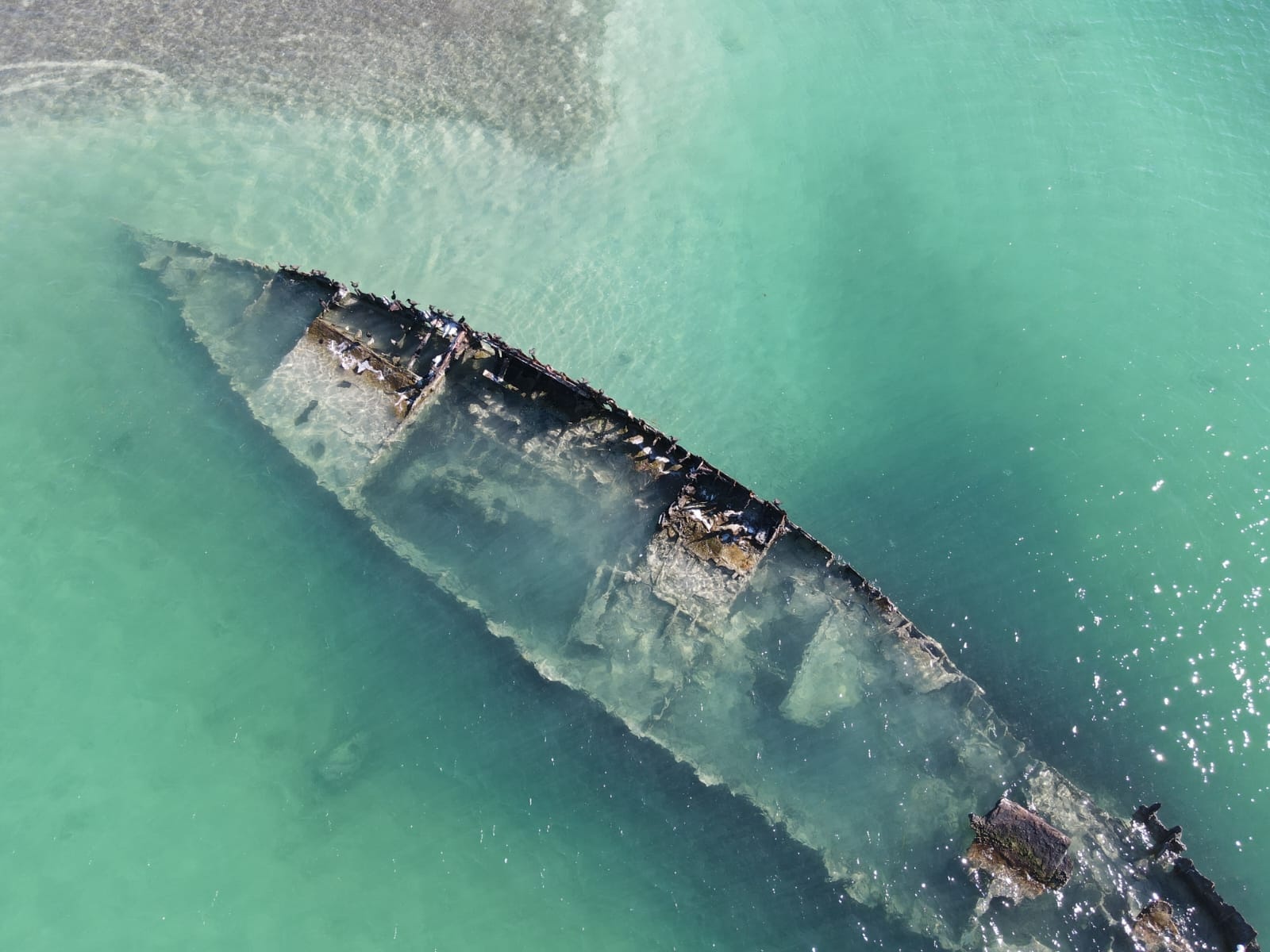Full Day Sandbar & Snorkel Trip - Still Dreamin' — Key West