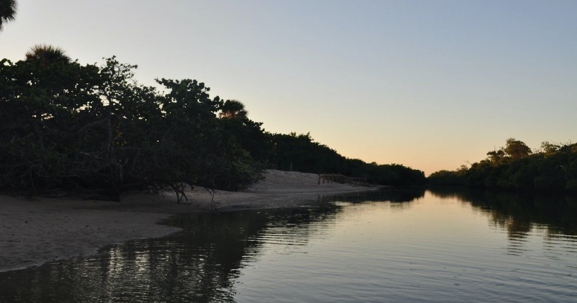 New River Vibing