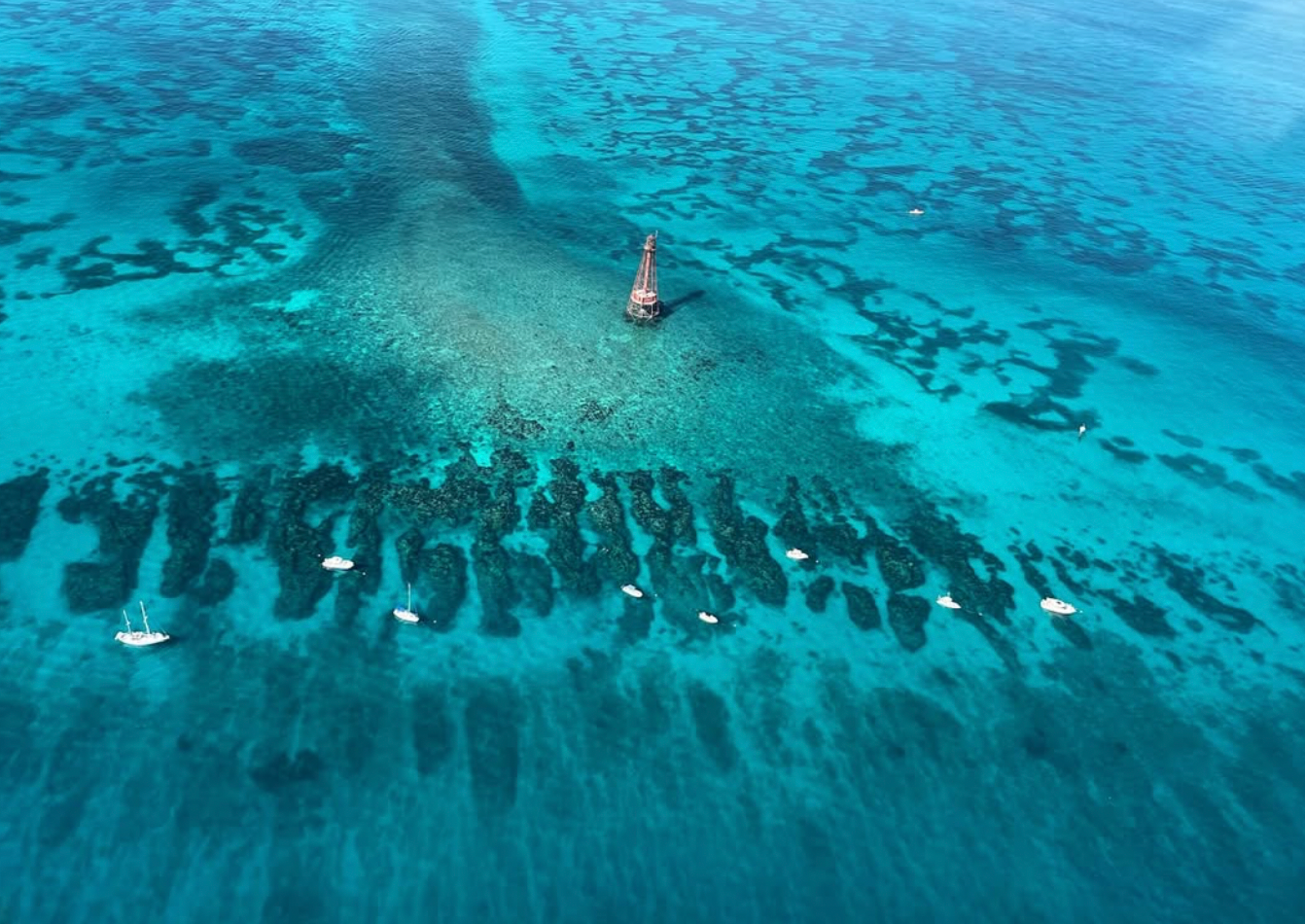 Snorkel + Sandbar Combo Adventure — Islamorada