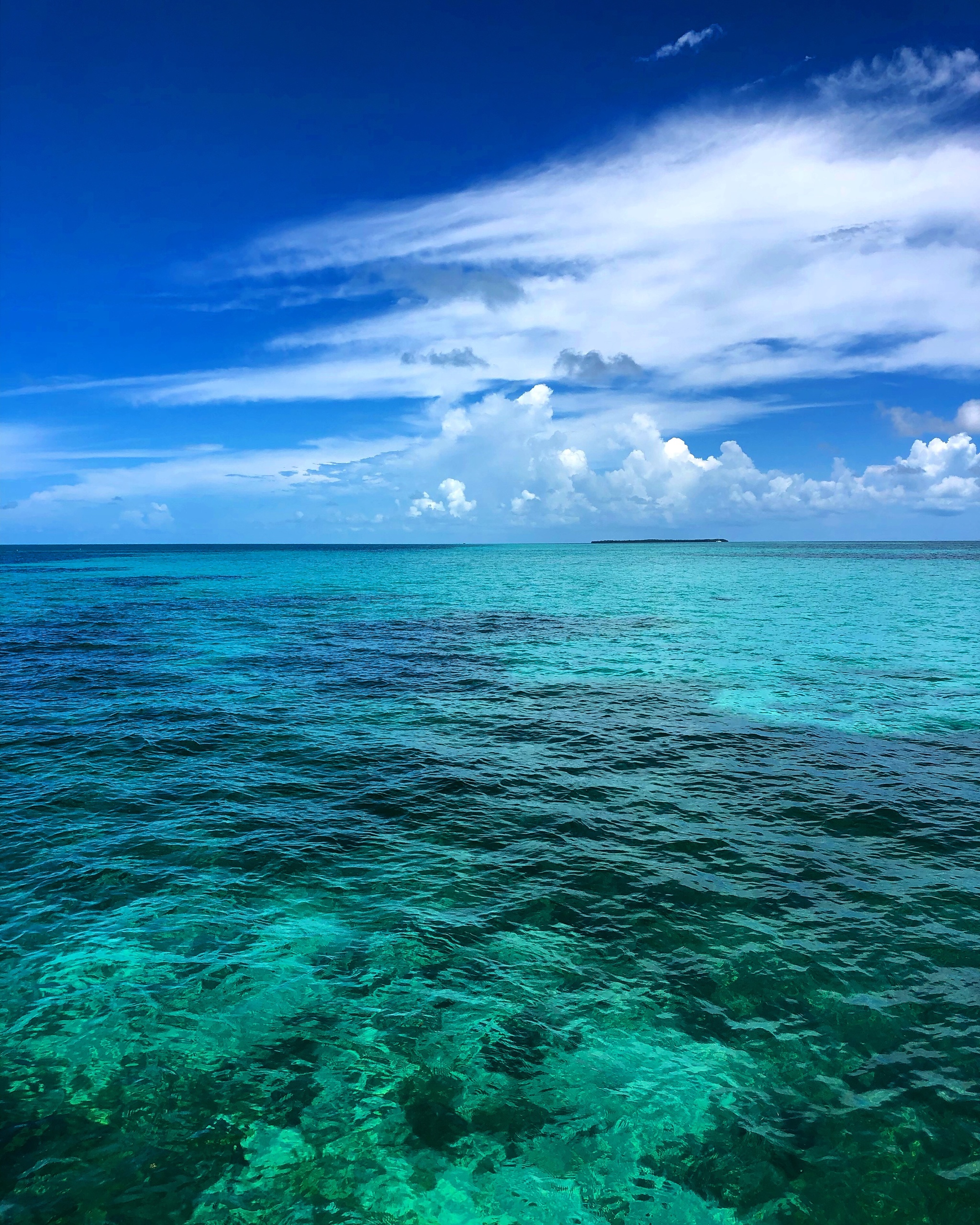 Sandbar Charter — Key West