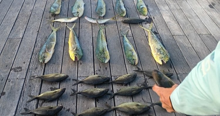 Full Day Fishing Charter — Marathon