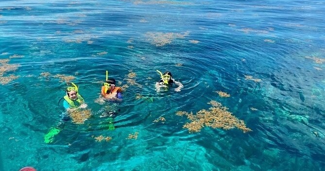 Half Day Morning Snorkel — Marathon