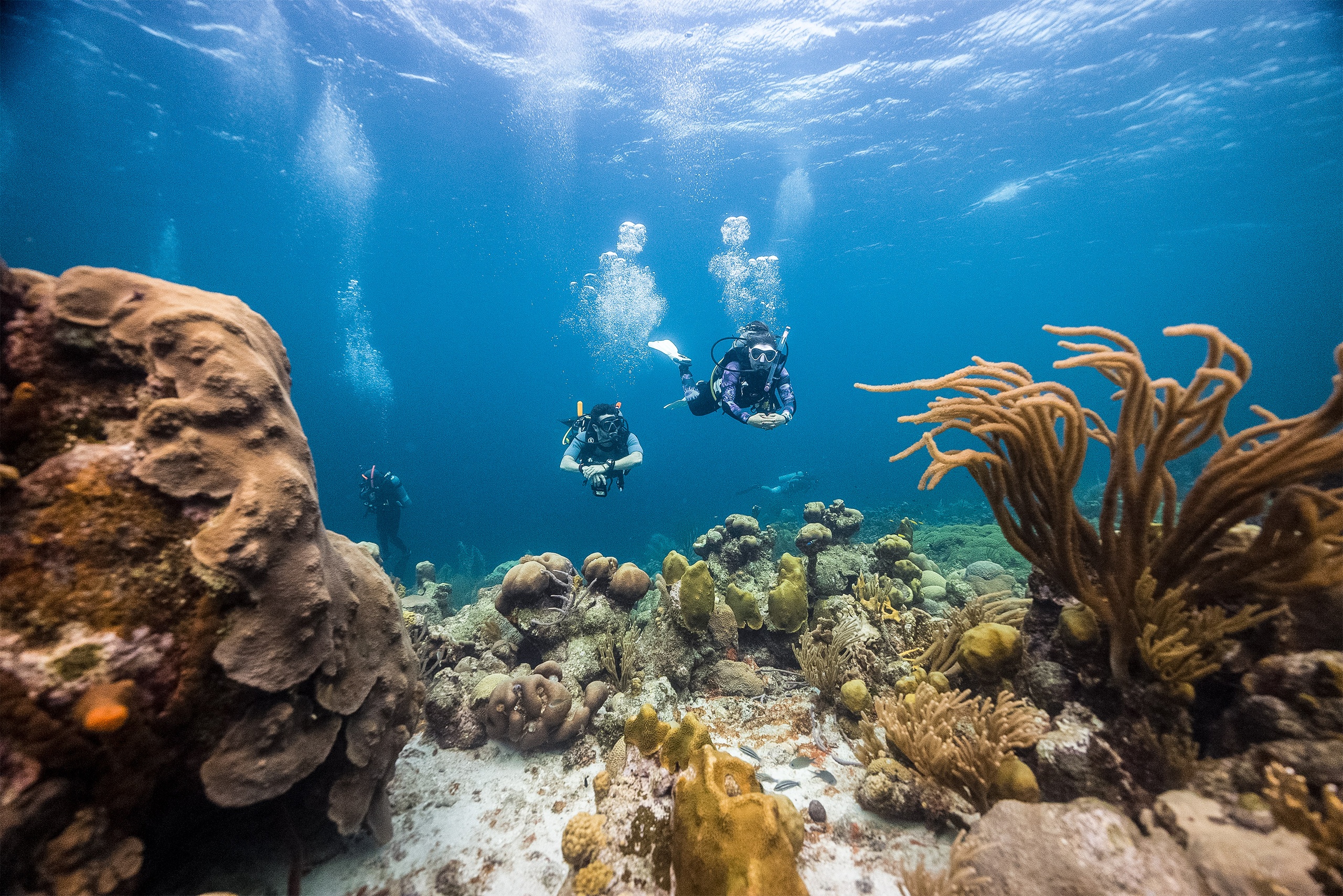 5 Trips | 10 Dives Package
