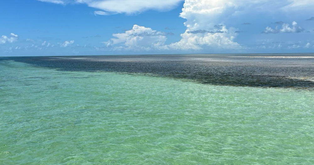 Six Hour Private Charter — Key West