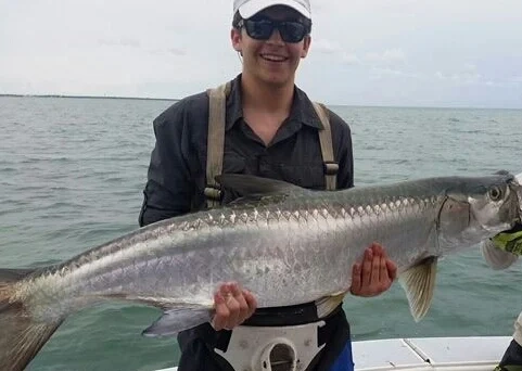 Shark & Tarpon — Key Largo
