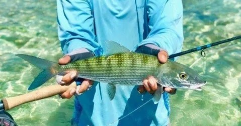 Florida Keys Eco Tours Experience — Islamorada