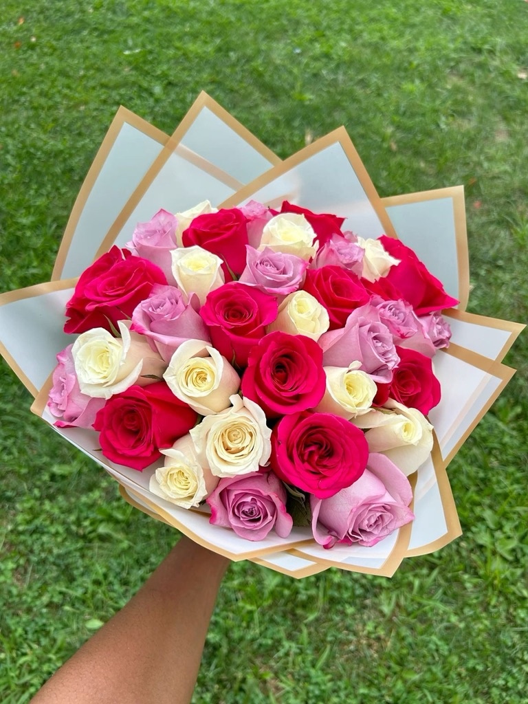 Rose Blooms — Miami