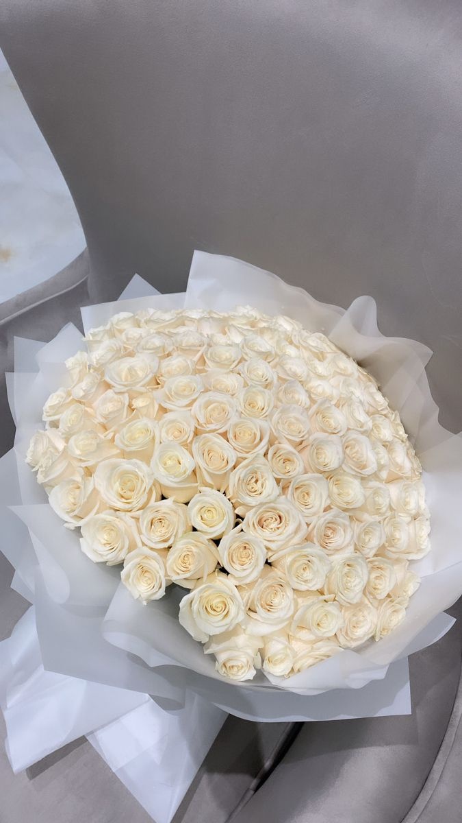 White Bliss — Miami