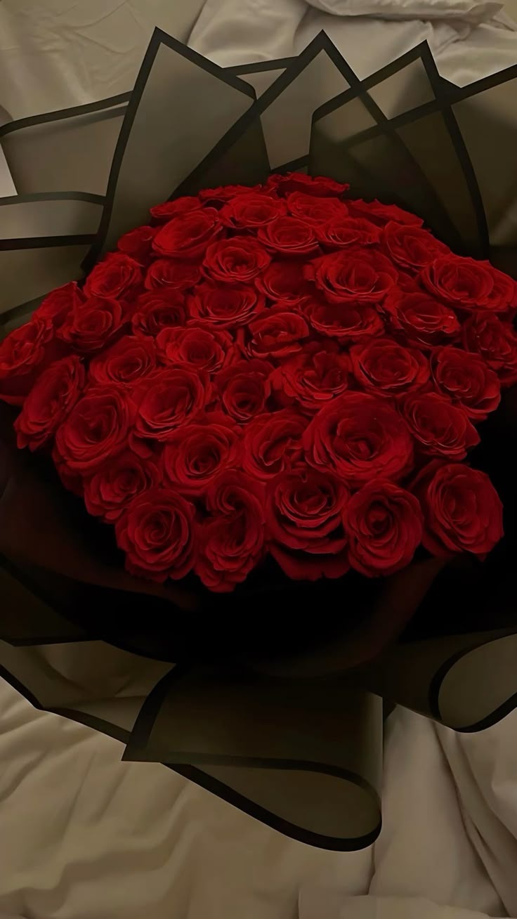Valentine's Passion — Miami