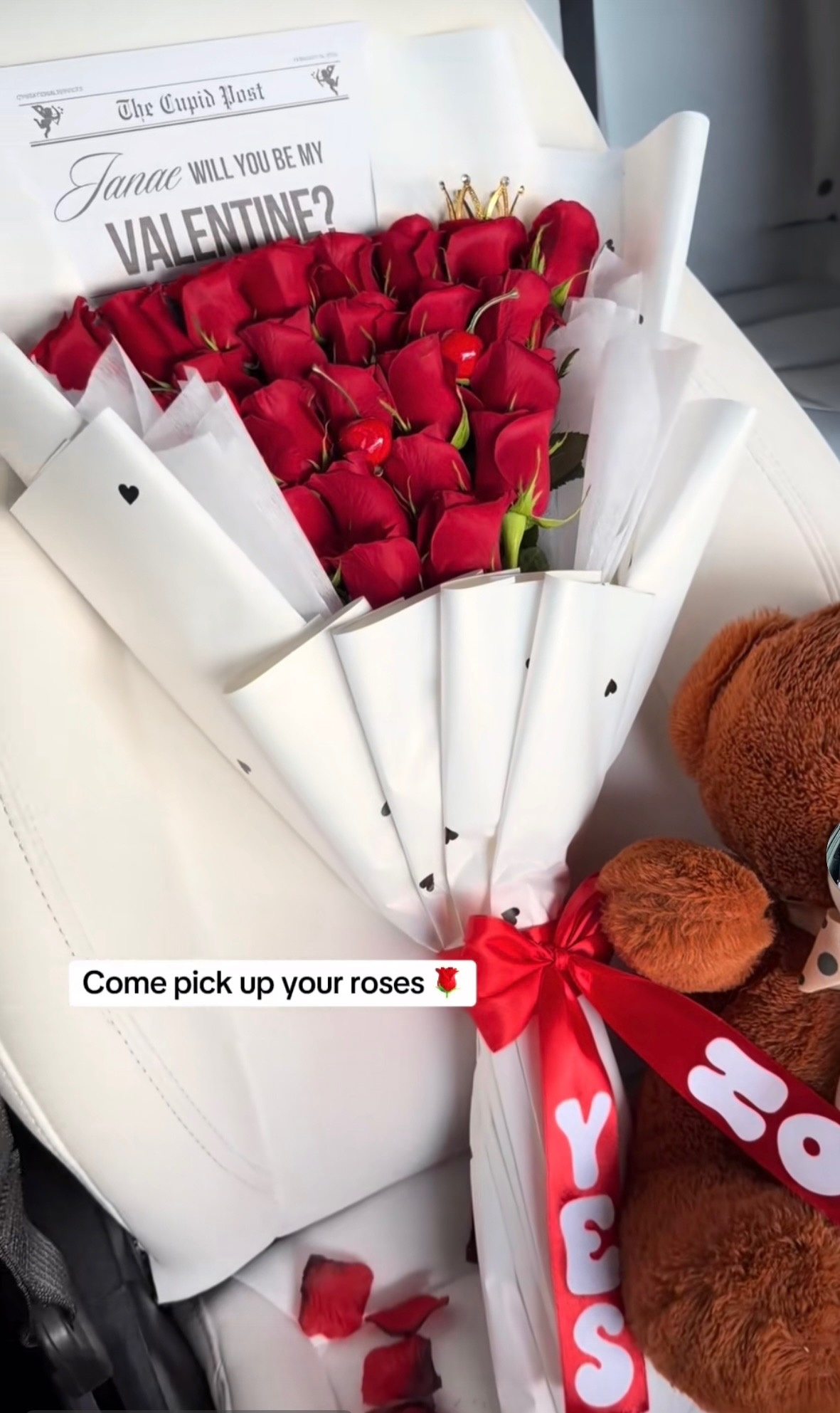 Will you be my Valentine? — Miami