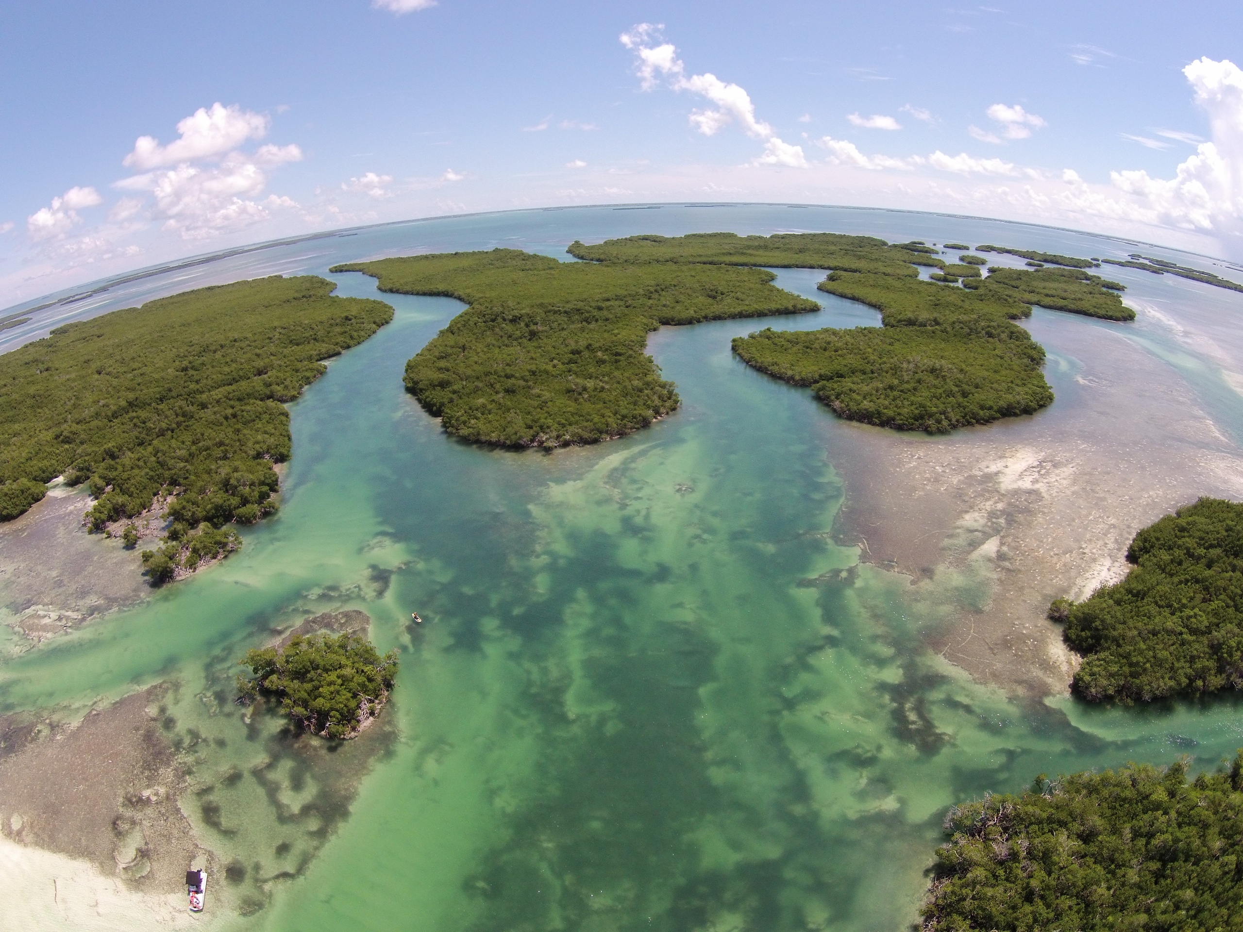 Key West Eco Tour - Private Flight