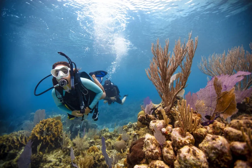 6 Trips | 12 Dives Package