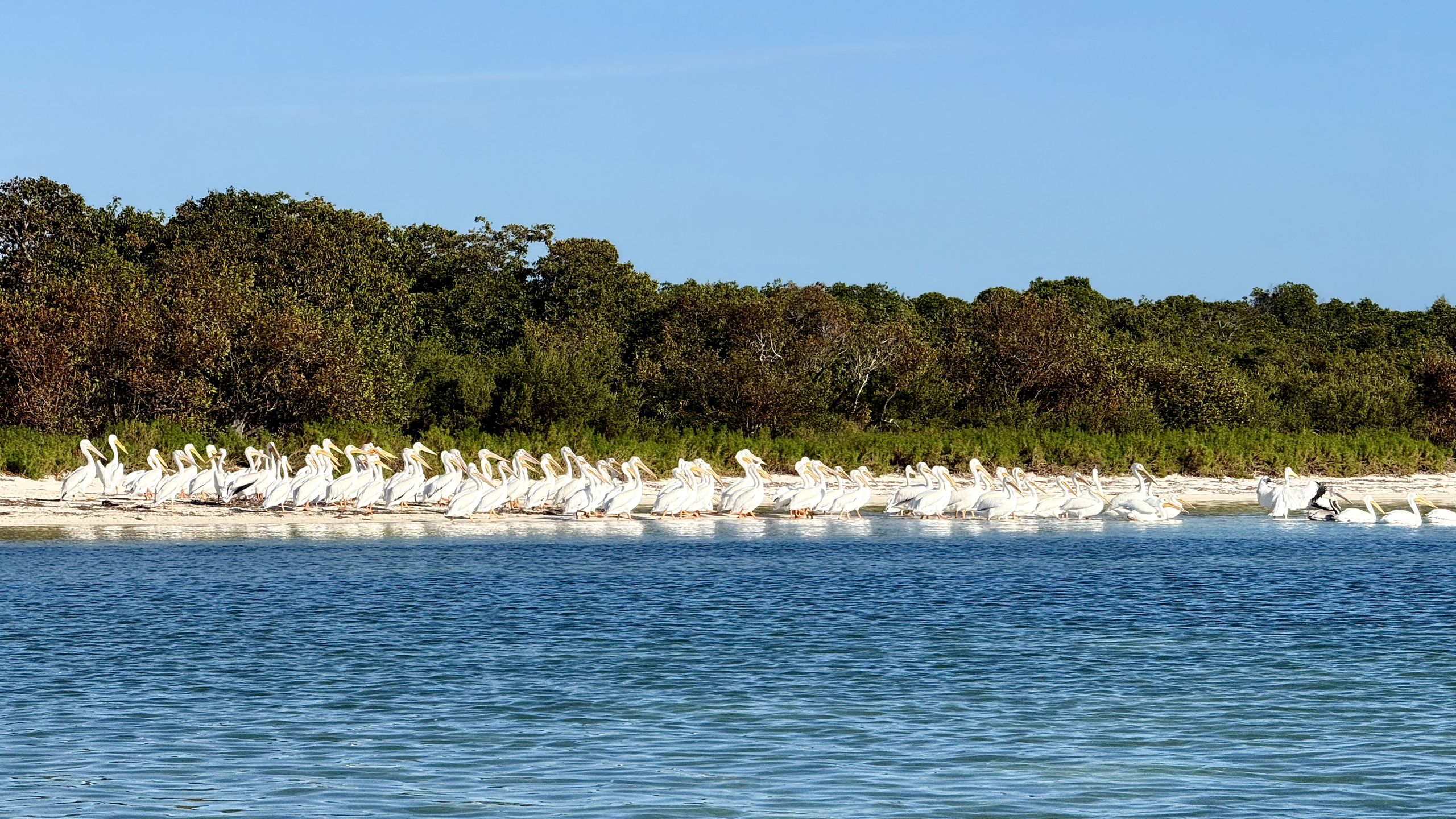 One Night, Two Days — Key West