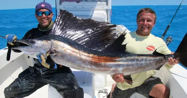 Sailfish Trips — Key West