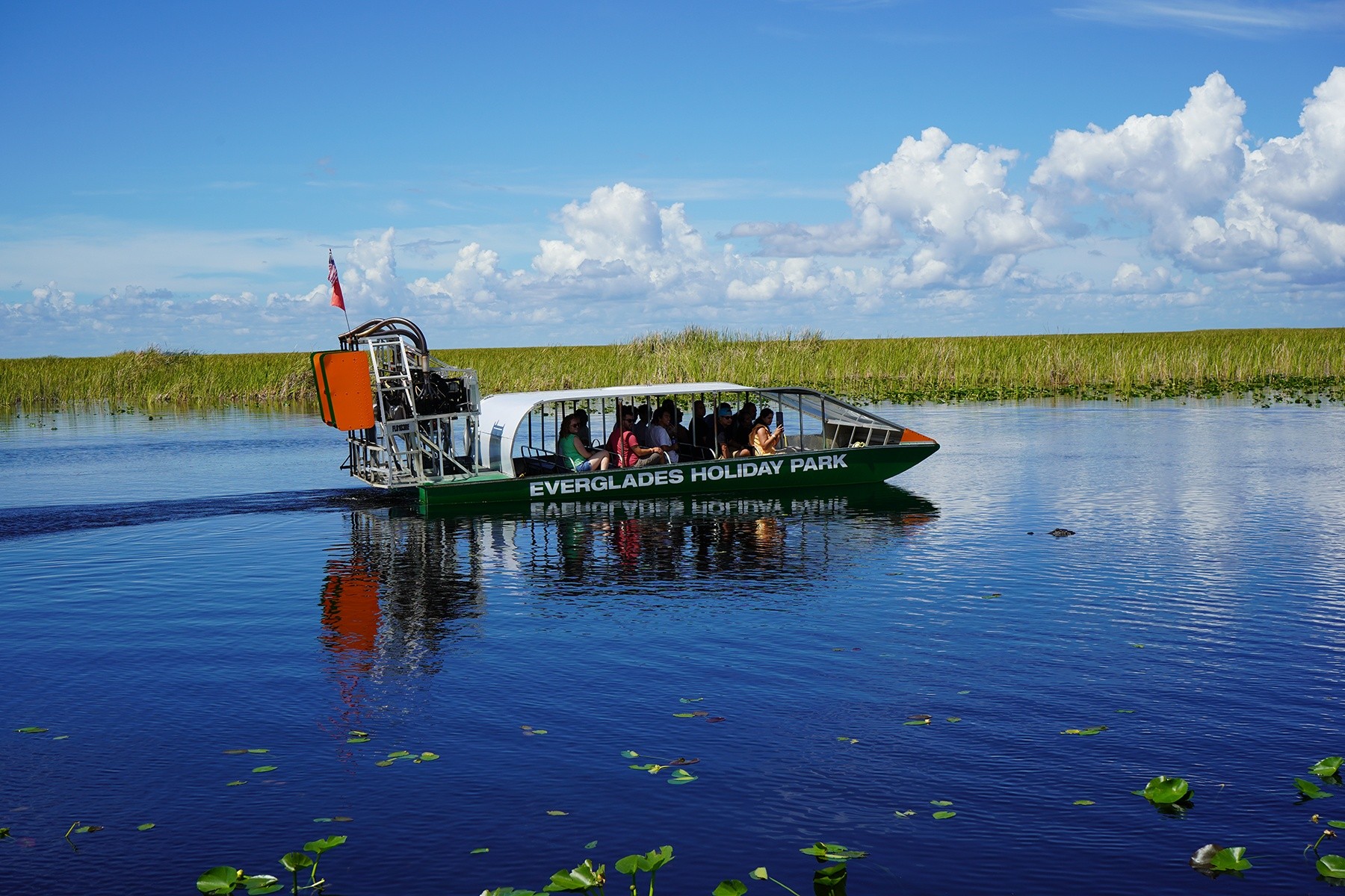 VIP Airboat Tour with Transportation from Miami