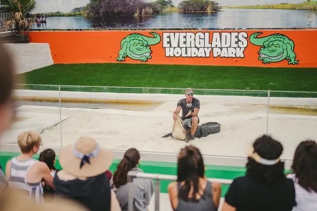 Alligator Presentation