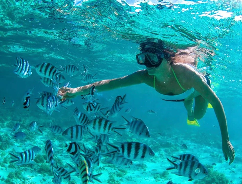 4 Hour Island Tour — Islamorada