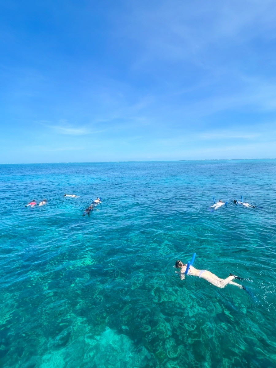 SNORKELING BOAT TRIP — Islamorada